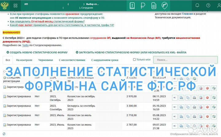 Заполнение Статистической формы фтс РФ (озон)
