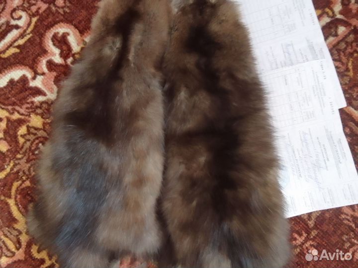 Шкурки соболя