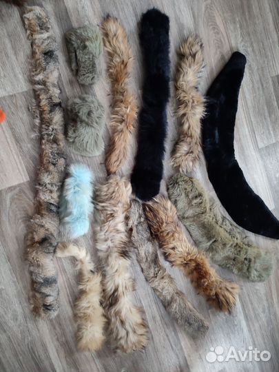 Шкурка животного