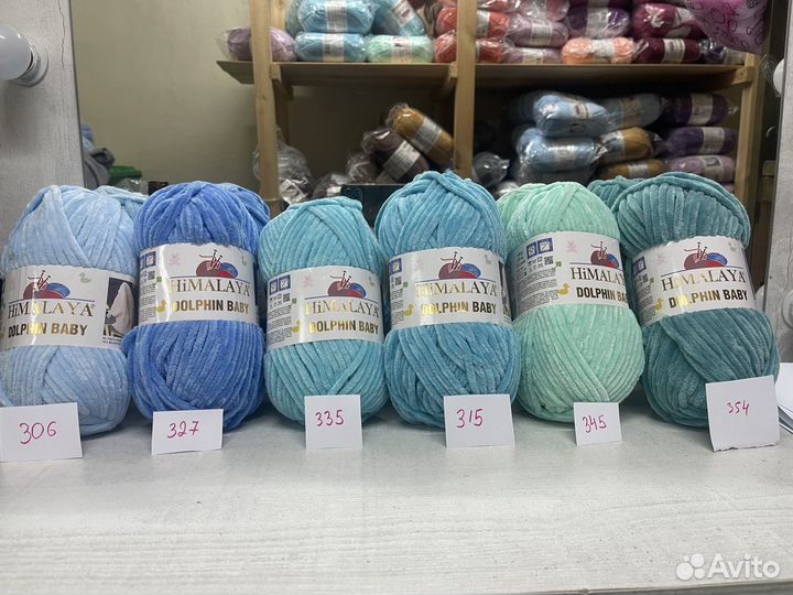 Himalaya dolphin baby