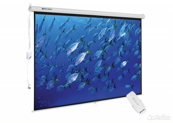 Экран проекционный настенный (180 на 240 см )