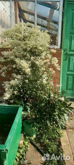 Квадроцикл