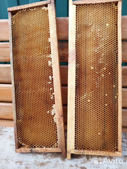 Рамки с сушью