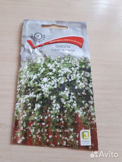 Бакопа белая