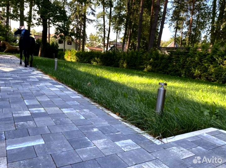 Рулонный газон 