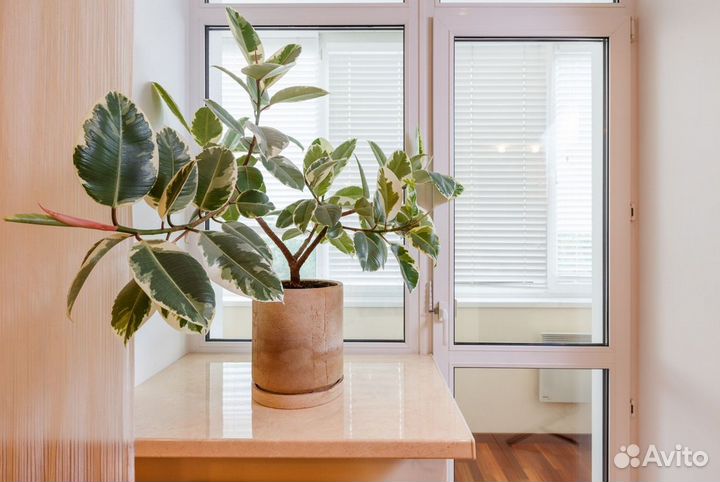 Подоконники от производителя