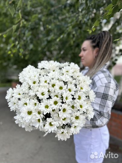 Ромашки цветы букеты к дню семьи