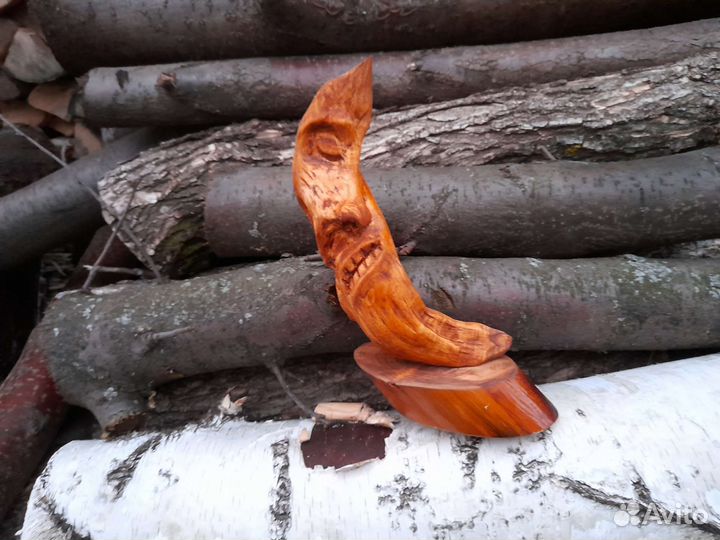 Корнепластика