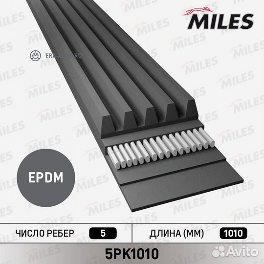 Miles 5PK1010 Ремень поликлиновой 5PK1010