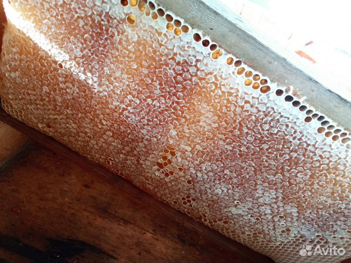 Мед домашний