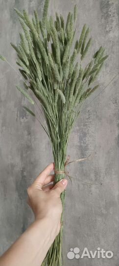 Букет. Сухоцвет. Декор