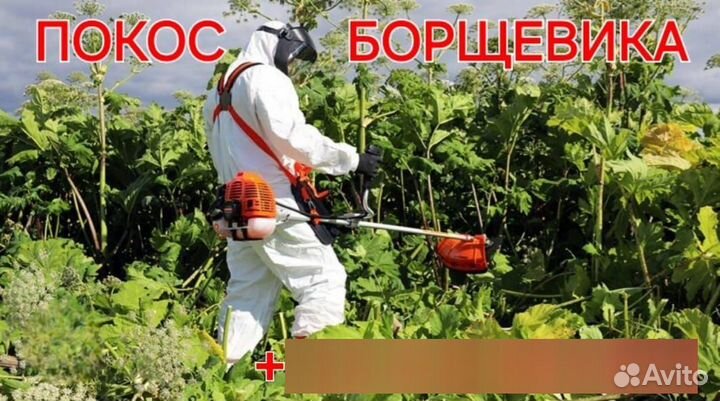 Покос травы, борщевика