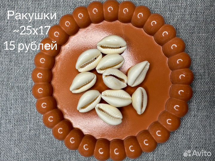 Монеты, ракушки, аксессуары для бижутерия