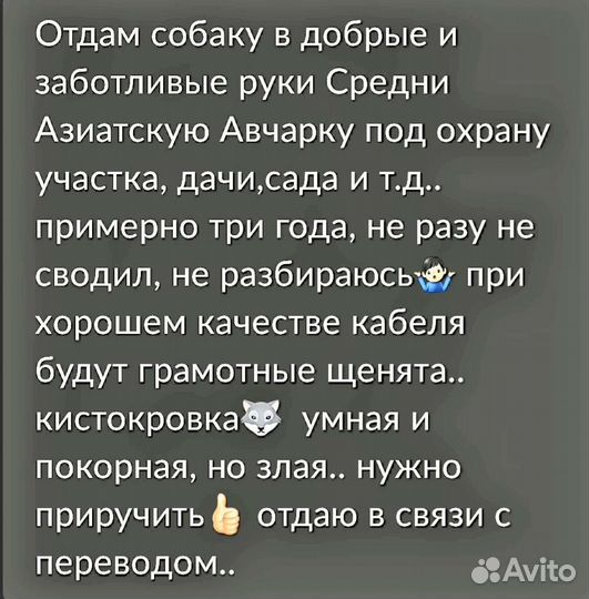Собака в добрые руки отдам бесплатно,под охрану