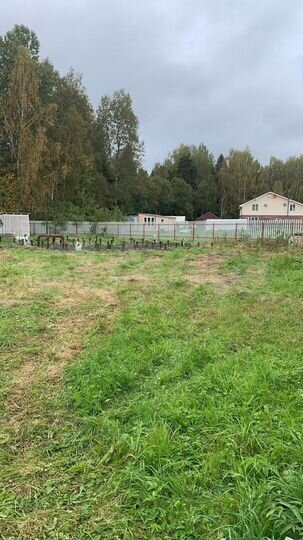 Участок 15 сот. (СНТ, ДНП)