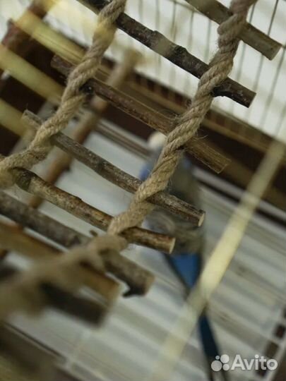 Лесница в клетку для птиц,для грызунов, хомяков