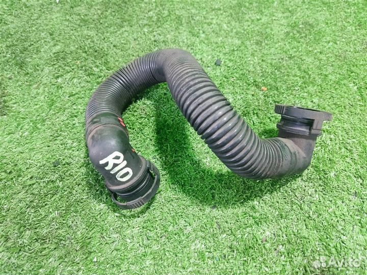 Патрубок воздушного фильтра volkswagen Golf Plus