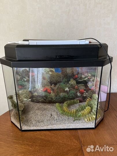 Аквариум
