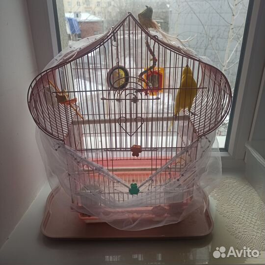 Защитная сетка от мусора для клетки животных