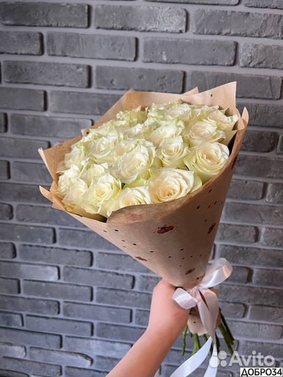 51 Роза 101 Роза 31 Роза 21 Роза 201 Роза