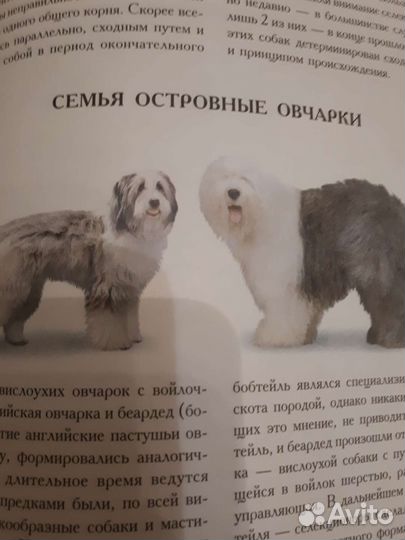 Энциклопедия,Собаки мира 