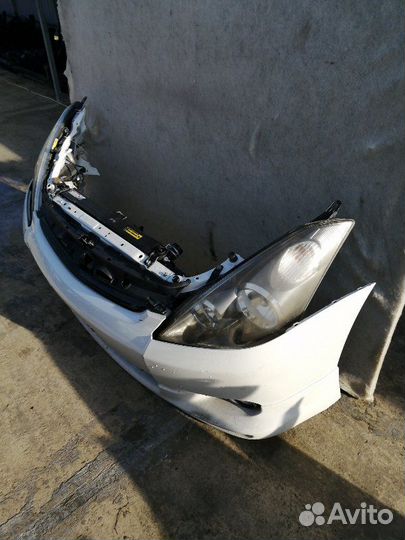 Nose cut Toyota Wish ZNE10