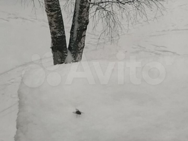 Участок 3 сот. (СНТ, ДНП)