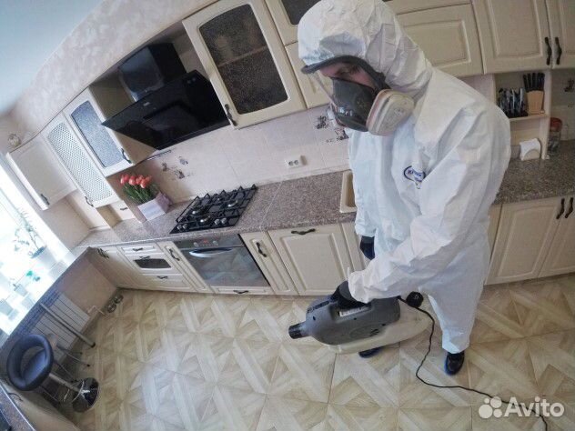 Дезинфекция клопов тараканов плесени запахов крыс