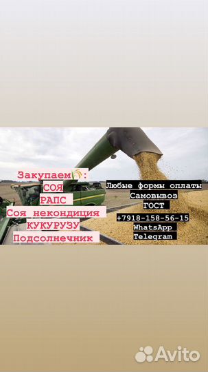 Корма для животных оптом