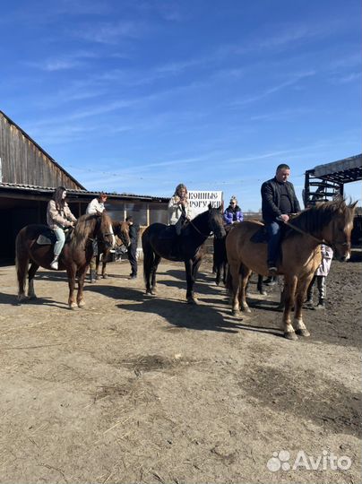 Конный тур в сказочный лес