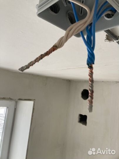 Эллектрика