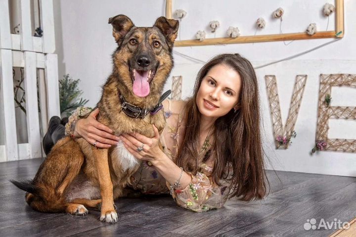 Собака в добрые руки отдам бесплатно