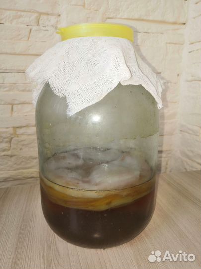 Чайный Гриб Комбуча омолаживающий, оздоравливающий