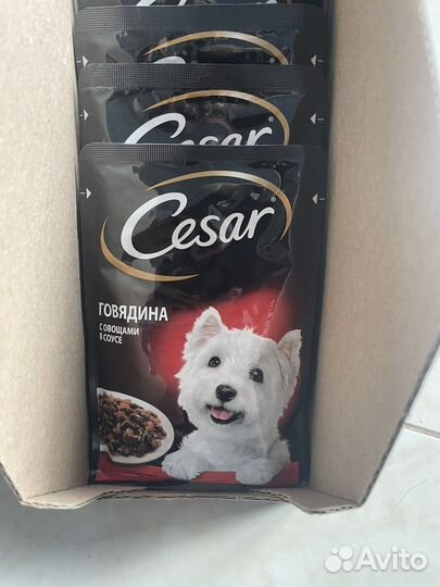Корм для собак cesar