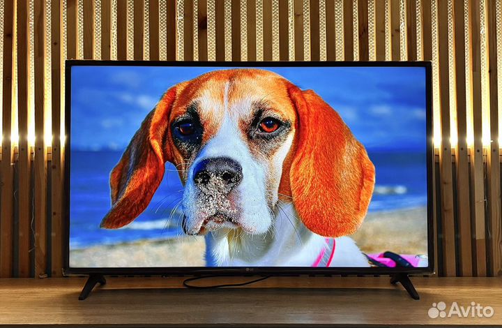 LG 43 SMART TV