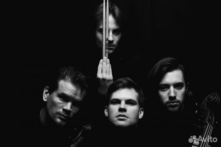 Музыканты на мероприятие, кавер группа, скрипка