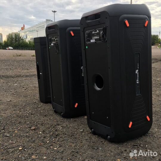 Портативная колонка Eltronic 20-10