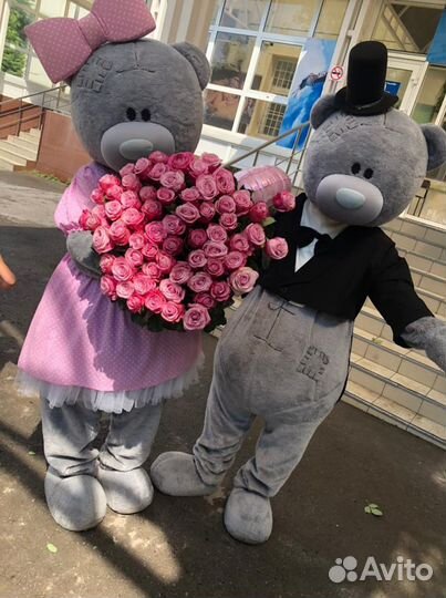 Мишки выписка из роддома