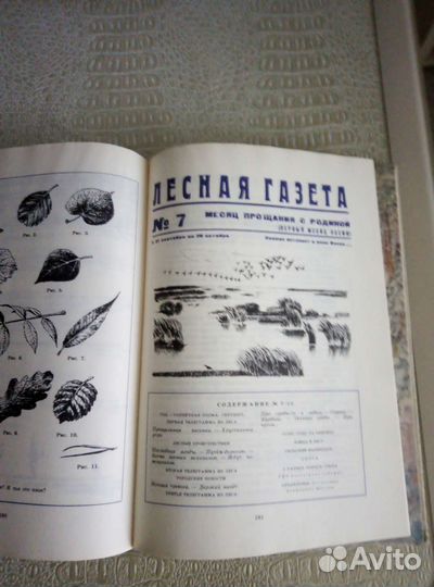 Книга Бианки