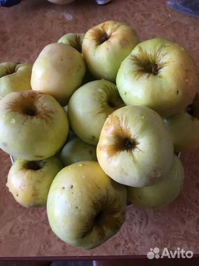 Яблоки домашние