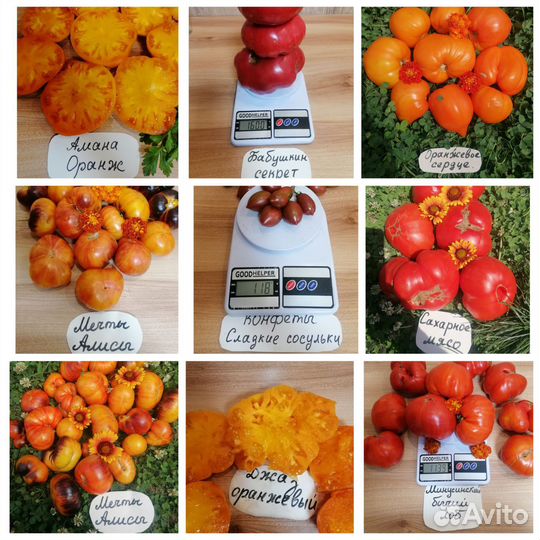 Семена сортовых томатов