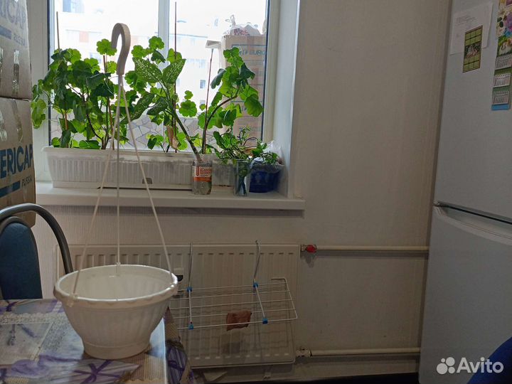 Горшки для цветов с прикорневым поливом