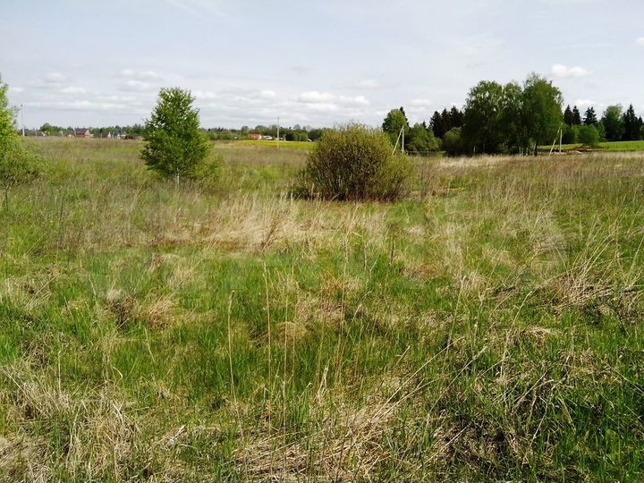 Участок 15 сот. (СНТ, ДНП)