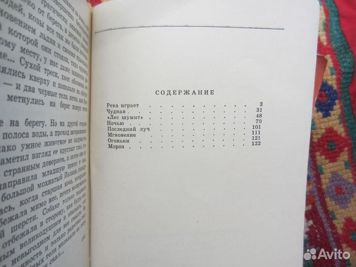 В.Е. Капланский. На лыжах в выходной. 1985 год