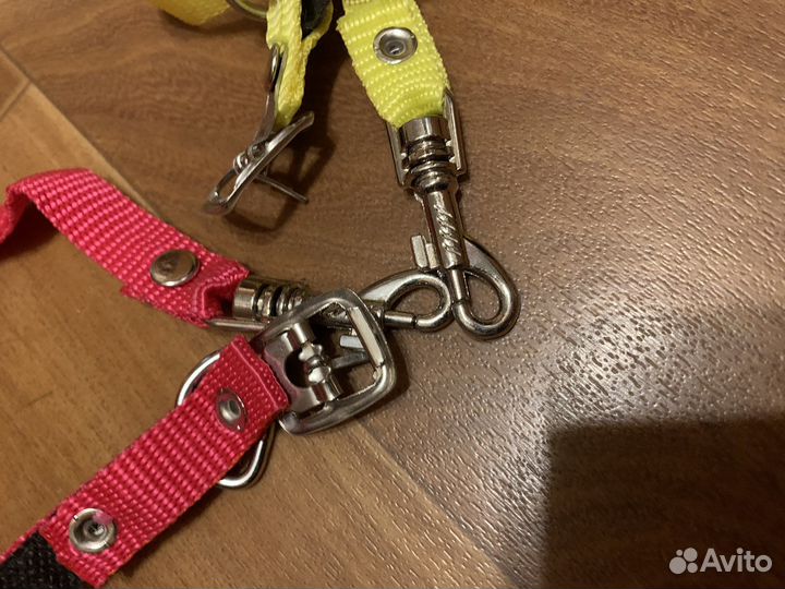 Шлейка поводок для маленькой собаки или кошки