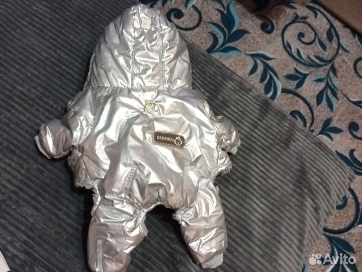 Одежда для маленьких собак