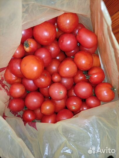Помидоры томаты домашние