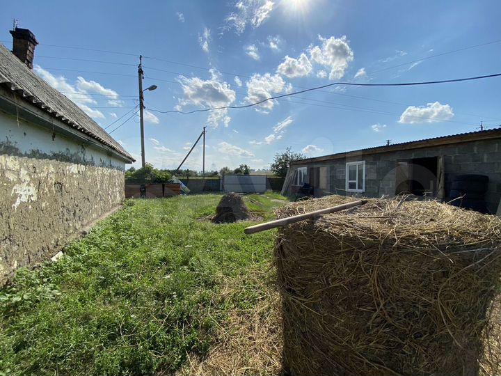 Участок 100 сот. (СНТ, ДНП)