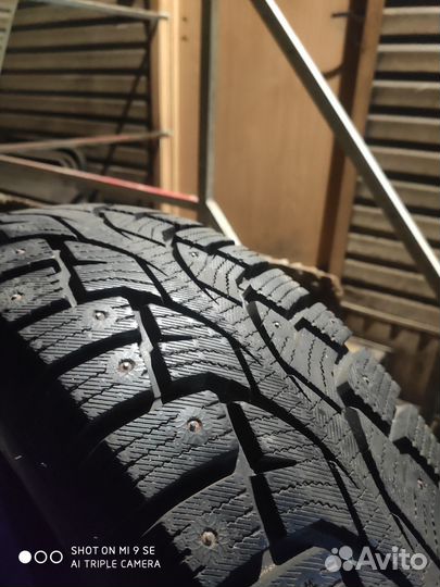 Joyroad Winter RX818 205/70 R15