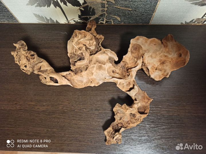 Коряга в аквариум